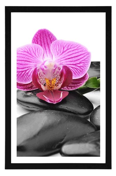 Plakat z passe-partout wellness kamenie