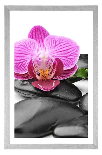 Plakat z passe-partout wellness kamenie