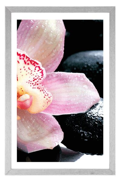 Plakat z passe-partout egzotyczna orchidea
