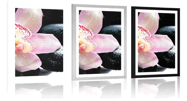 Plakat z passe-partout egzotyczna orchidea