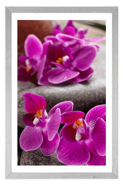 Plakat z passe-partout piękna orchidea i kamienie Zen