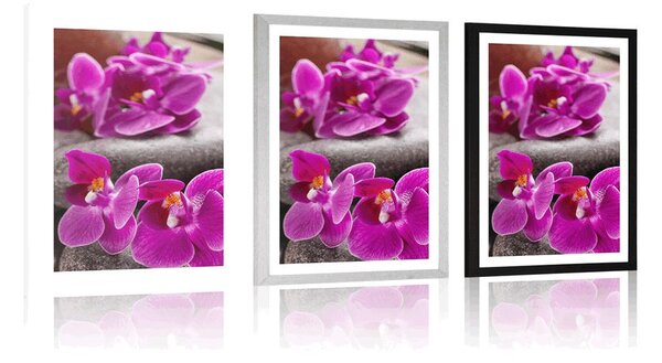 Plakat z passe-partout piękna orchidea i kamienie Zen