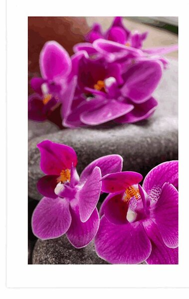 Plakat z passe-partout piękna orchidea i kamienie Zen