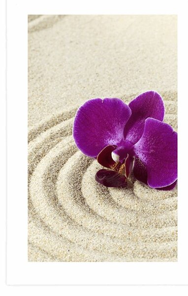 Plakat z passe-partout piaszczysty ogród zen z fioletową orchideą