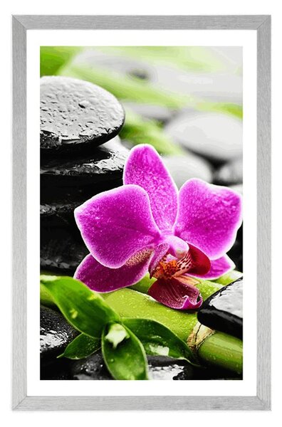 Plakat z passe-partout wellness martwa natura z fioletową orchideą