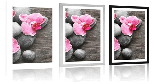 Plakat z passe-partout elegancka kompozycja z kwiatami orchidei