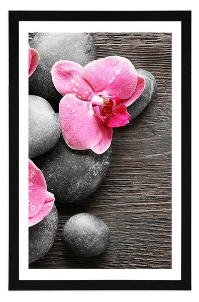Plakat z passe-partout elegancka kompozycja z kwiatami orchidei