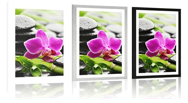 Plakat z passe-partout wellness martwa natura z fioletową orchideą