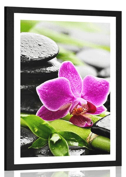 Plakat z passe-partout wellness martwa natura z fioletową orchideą
