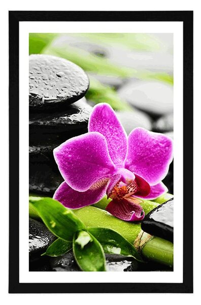 Plakat z passe-partout wellness martwa natura z fioletową orchideą