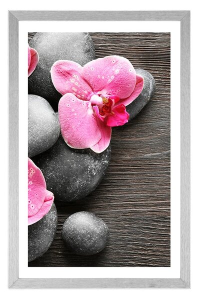 Plakat z passe-partout elegancka kompozycja z kwiatami orchidei