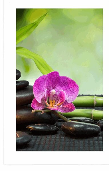 Plakat z passe-partout Feng Shui martwa natura