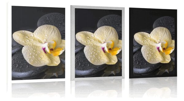 Plakat Kamienie Zen z żółtą orchideą