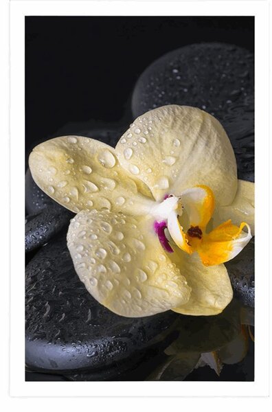 Plakat Kamienie Zen z żółtą orchideą