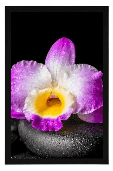 Plakat z passe-partout górska fioletowa orchidea na kamieniach Zen
