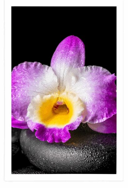 Plakat z passe-partout górska fioletowa orchidea na kamieniach Zen