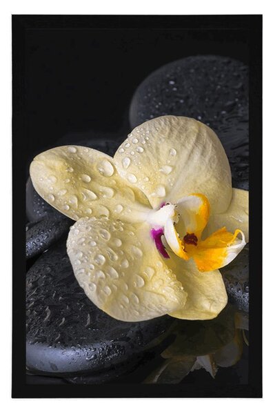 Plakat Kamienie Zen z żółtą orchideą