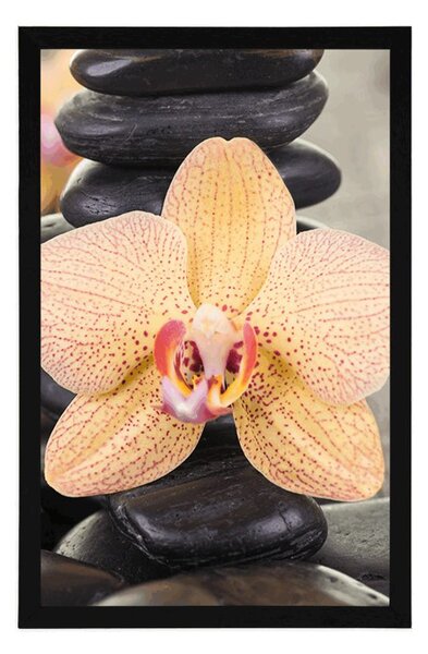 Plakat żółta orchidea i kamienie Zen