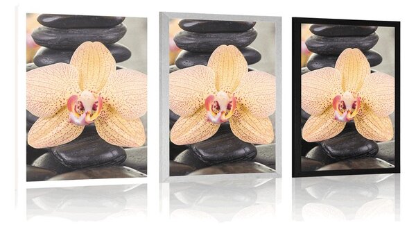 Plakat żółta orchidea i kamienie Zen