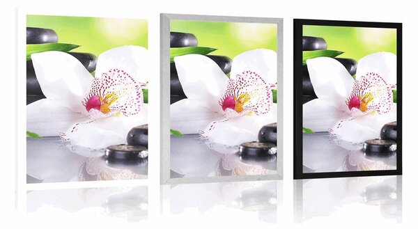 Plakat Japońska orchidea