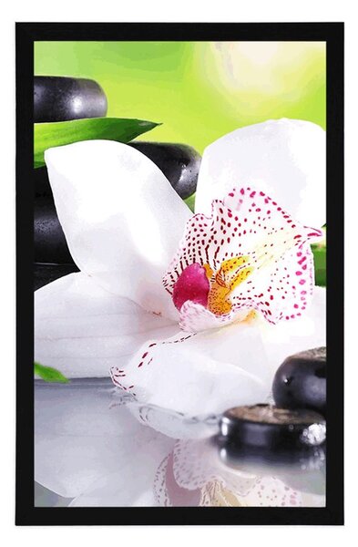 Plakat Japońska orchidea