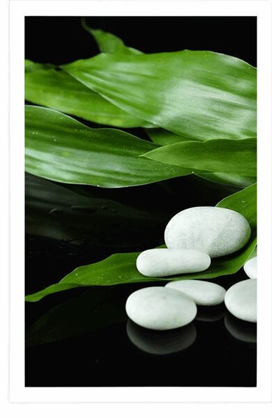 Plakat teeraia naturalna