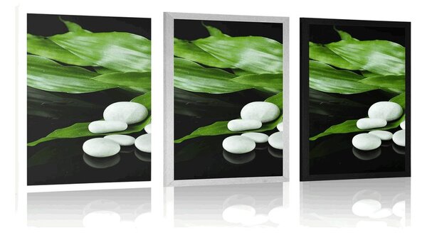 Plakat teeraia naturalna