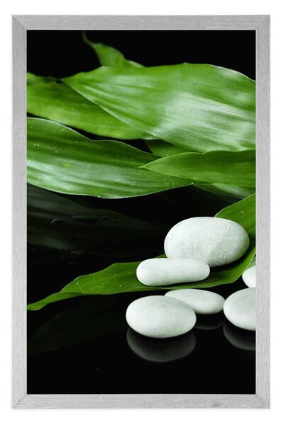 Plakat teeraia naturalna