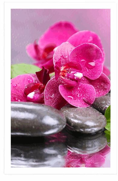 Plakat orchidea z nutą relaksu