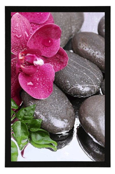 Plakat kwitnąca orchidea i kamienie wellness