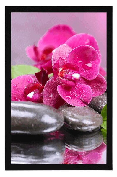 Plakat orchidea z nutą relaksu