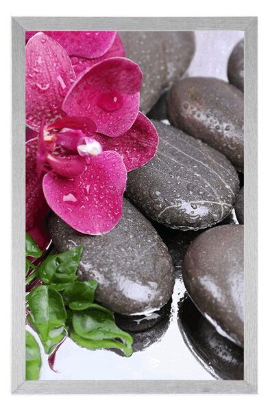 Plakat kwitnąca orchidea i kamienie wellness