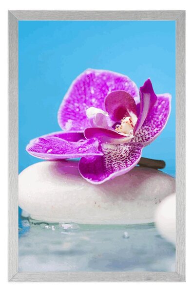 Plakat orchidea i kamienie zen