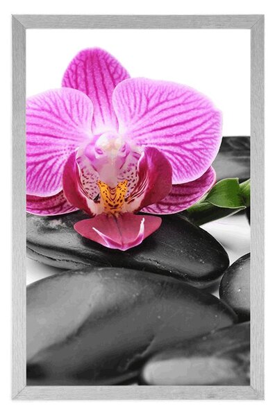 Plakat masaż kamieniami wellness