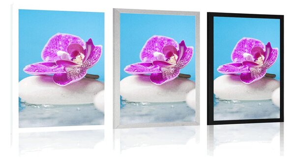 Plakat orchidea i kamienie zen