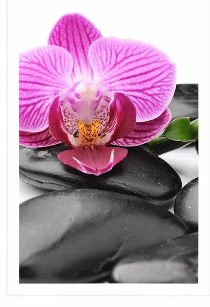 Plakat masaż kamieniami wellness