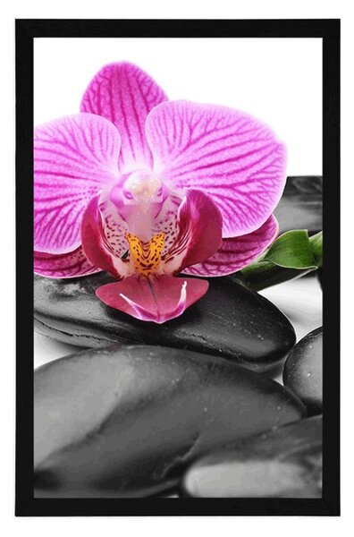 Plakat masaż kamieniami wellness