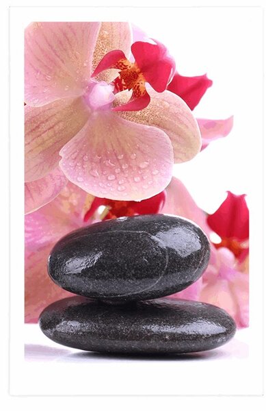 Plakat spa kamienie i orchidea