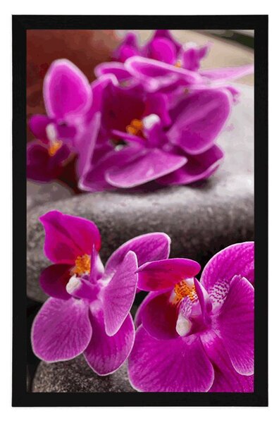 Plakat piękna orchidea i kamienie Zen