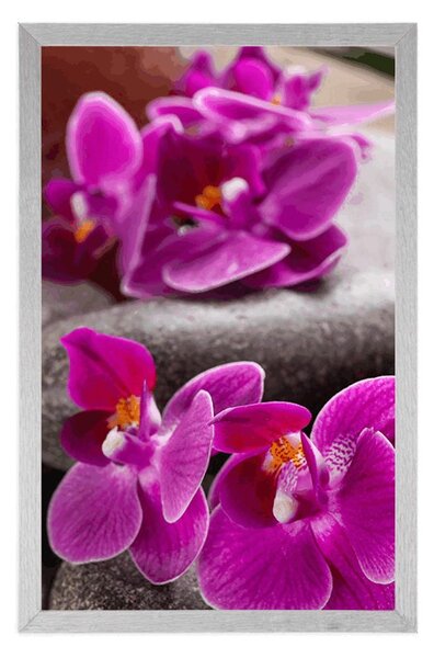 Plakat piękna orchidea i kamienie Zen