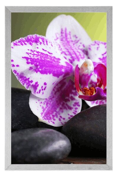 Plakat orchidea i czarne kamienie