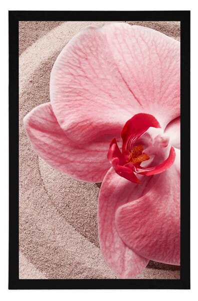 Plakat morski piasek i różowa orchidea