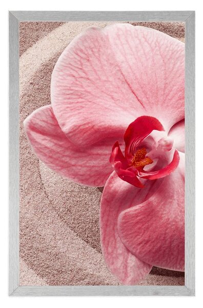 Plakat morski piasek i różowa orchidea