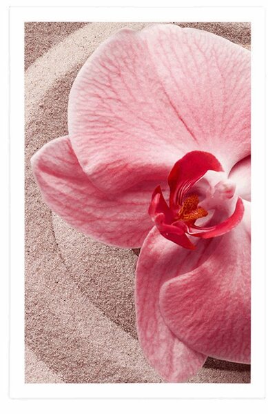 Plakat morski piasek i różowa orchidea