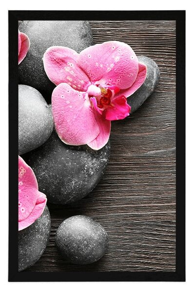 Plakat elegancka kompozycja z kwiatami orchidei