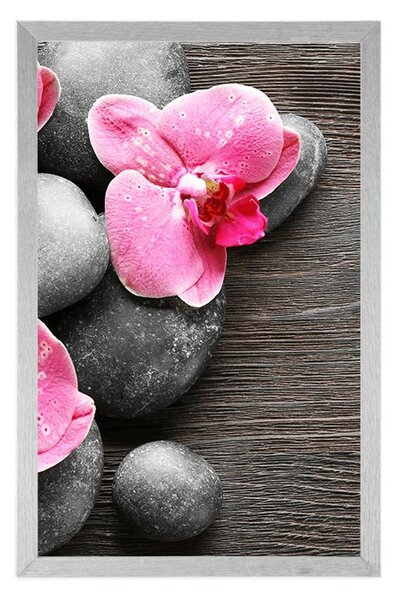 Plakat elegancka kompozycja z kwiatami orchidei