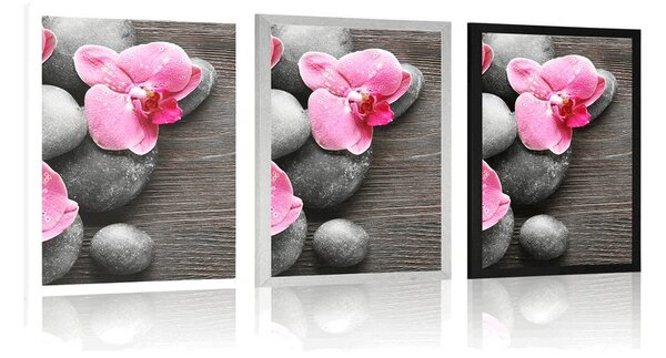 Plakat elegancka kompozycja z kwiatami orchidei