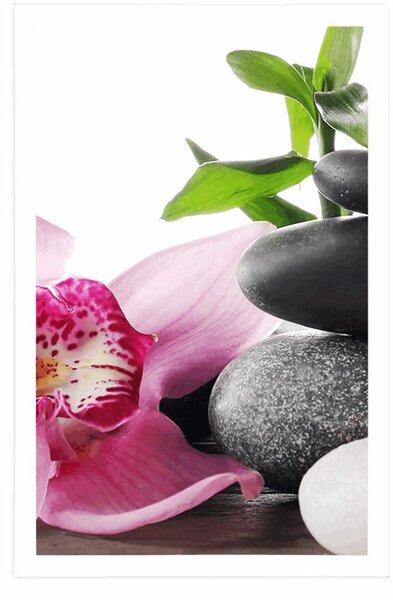 Plakat harmonijna martwa natura zen