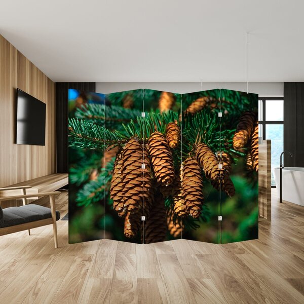 Parawan - Szyszki (210x170 cm)
