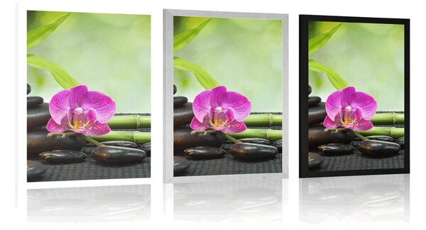 Plakat Feng Shui martwa natura